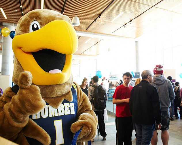 Howie the hawk