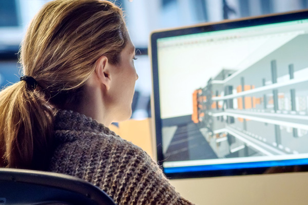 woman looking computer screen