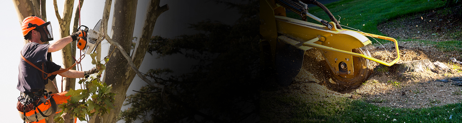 Service Trades - Humber College