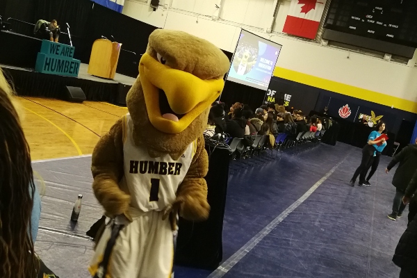 Humber Hawks mascot