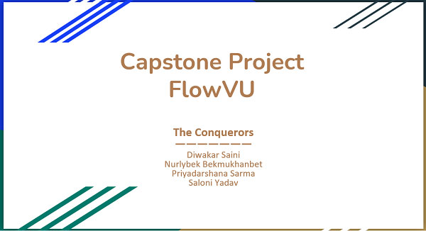 Capstone project: flowVU