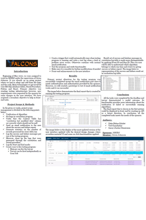 FALCONS team project details