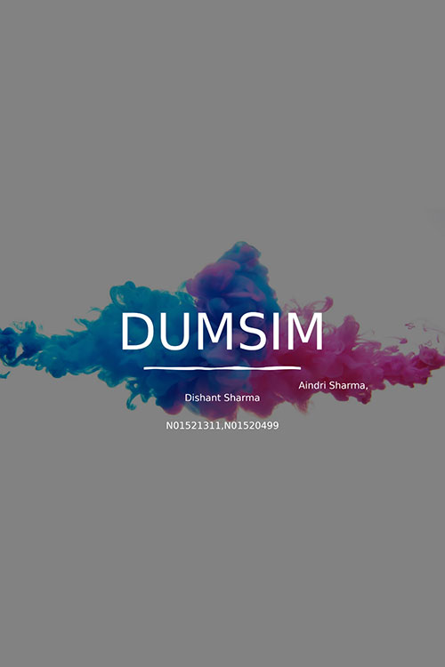 Poster for the project DUMSIM