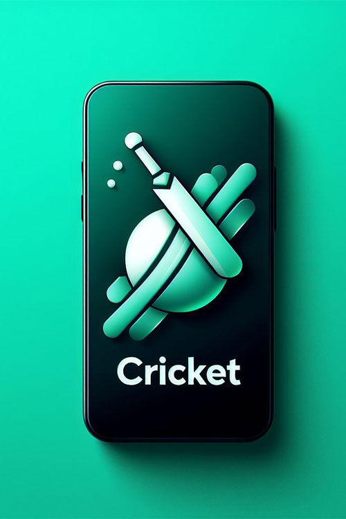 PlayBound Cricket App Project poster