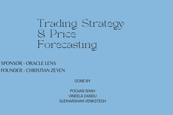 Trading Strategy & Price Forecasting presentation video