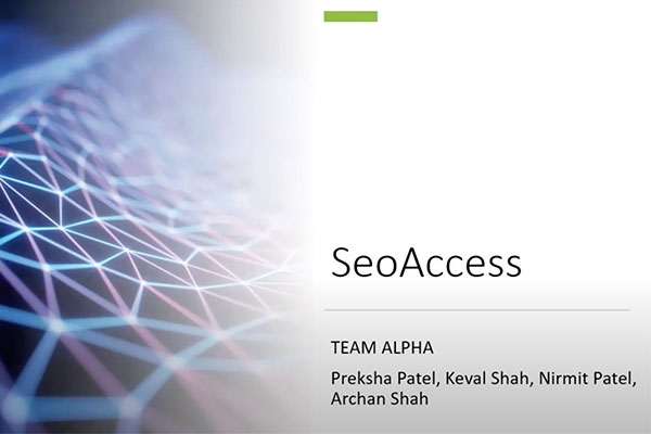 Seo Access