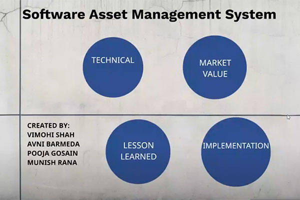 Software Asset Management System overview