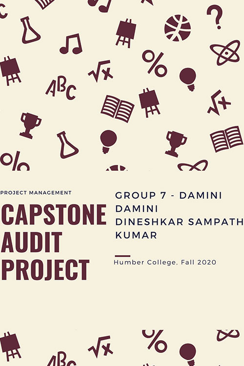 Capstone Audit Project Poster