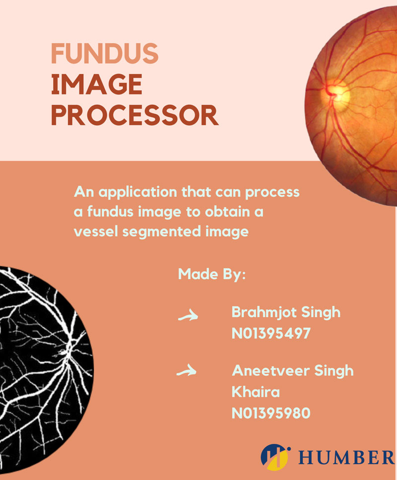 Fundus Image Processor Poster