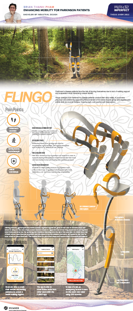 Poster showing how FLINGO works and all of its features.