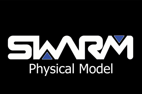 SWARM physical model development