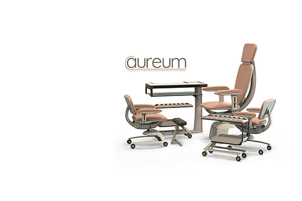 Aureum project summary Video
