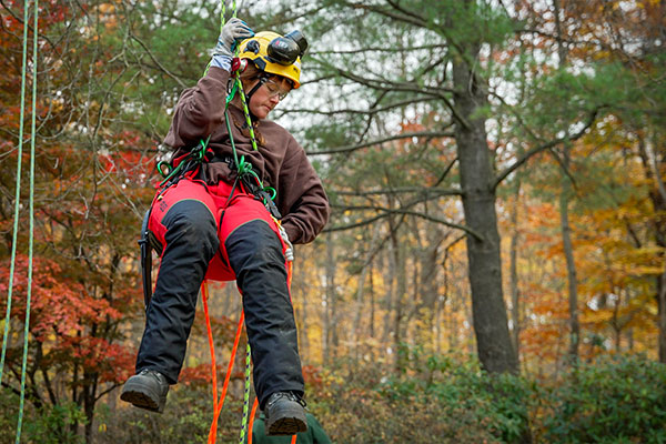 Person using hoist in forest